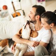 couple with dog on the couch 